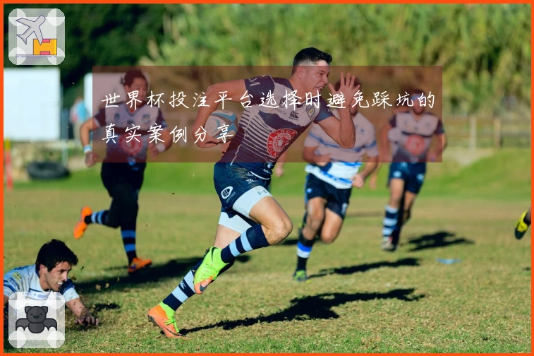 世界杯投注平台选择时避免踩坑的真实案例分享