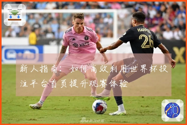 新人指南：如何高效利用世界杯投注平台首页提升观赛体验