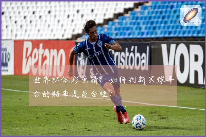 世界杯体彩竞猜：如何判断买球平台的赔率是否合理？