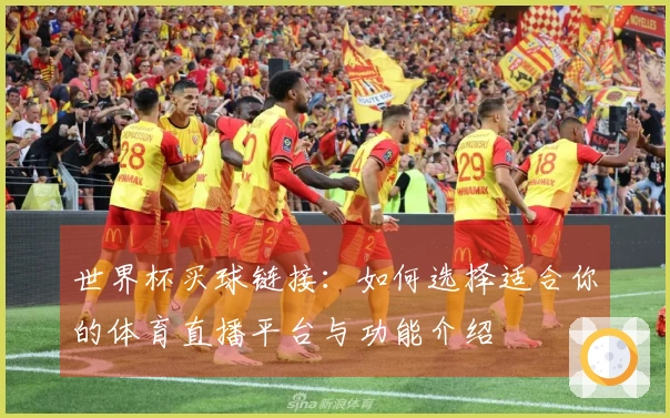 世界杯买球链接：如何选择适合你的体育直播平台与功能介绍