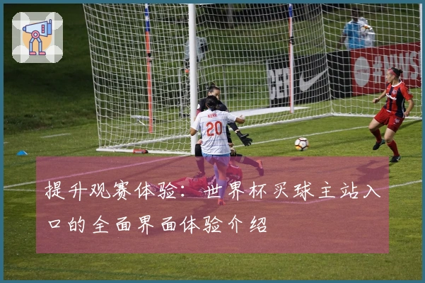 提升观赛体验：世界杯买球主站入口的全面界面体验介绍