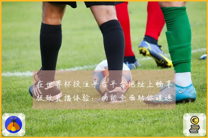 在世界杯投注平台平台地址上畅享极致直播体验，功能全面助你追逐足球激情