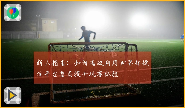 新人指南：如何高效利用世界杯投注平台首页提升观赛体验