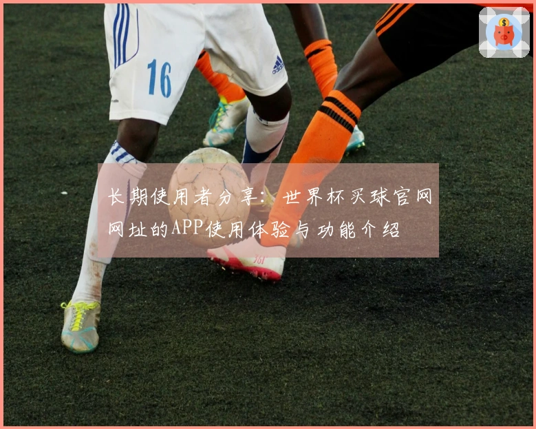 长期使用者分享：世界杯买球官网网址的APP使用体验与功能介绍