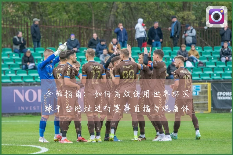 全面指南：如何高效使用世界杯买球平台地址进行赛事直播与观看体验提升
