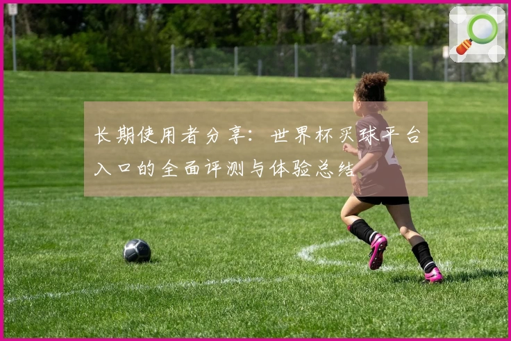 长期使用者分享：世界杯买球平台入口的全面评测与体验总结