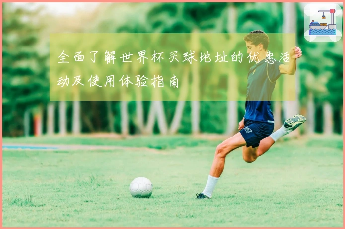全面了解世界杯买球地址的优惠活动及使用体验指南