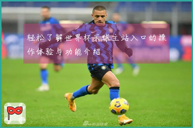 轻松了解世界杯买球主站入口的操作体验与功能介绍