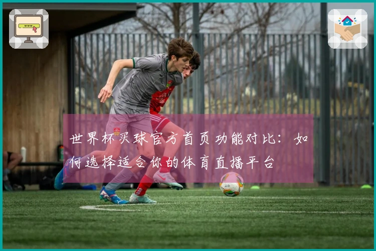 世界杯买球官方首页功能对比：如何选择适合你的体育直播平台