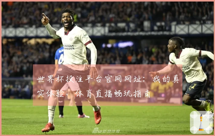 世界杯投注平台官网网址：我的真实体验，体育直播畅玩指南