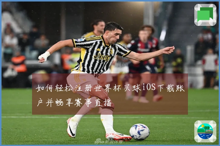 如何轻松注册世界杯买球iOS下载账户并畅享赛事直播