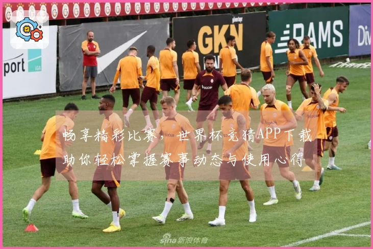 畅享精彩比赛，世界杯竞猜APP下载助你轻松掌握赛事动态与使用心得